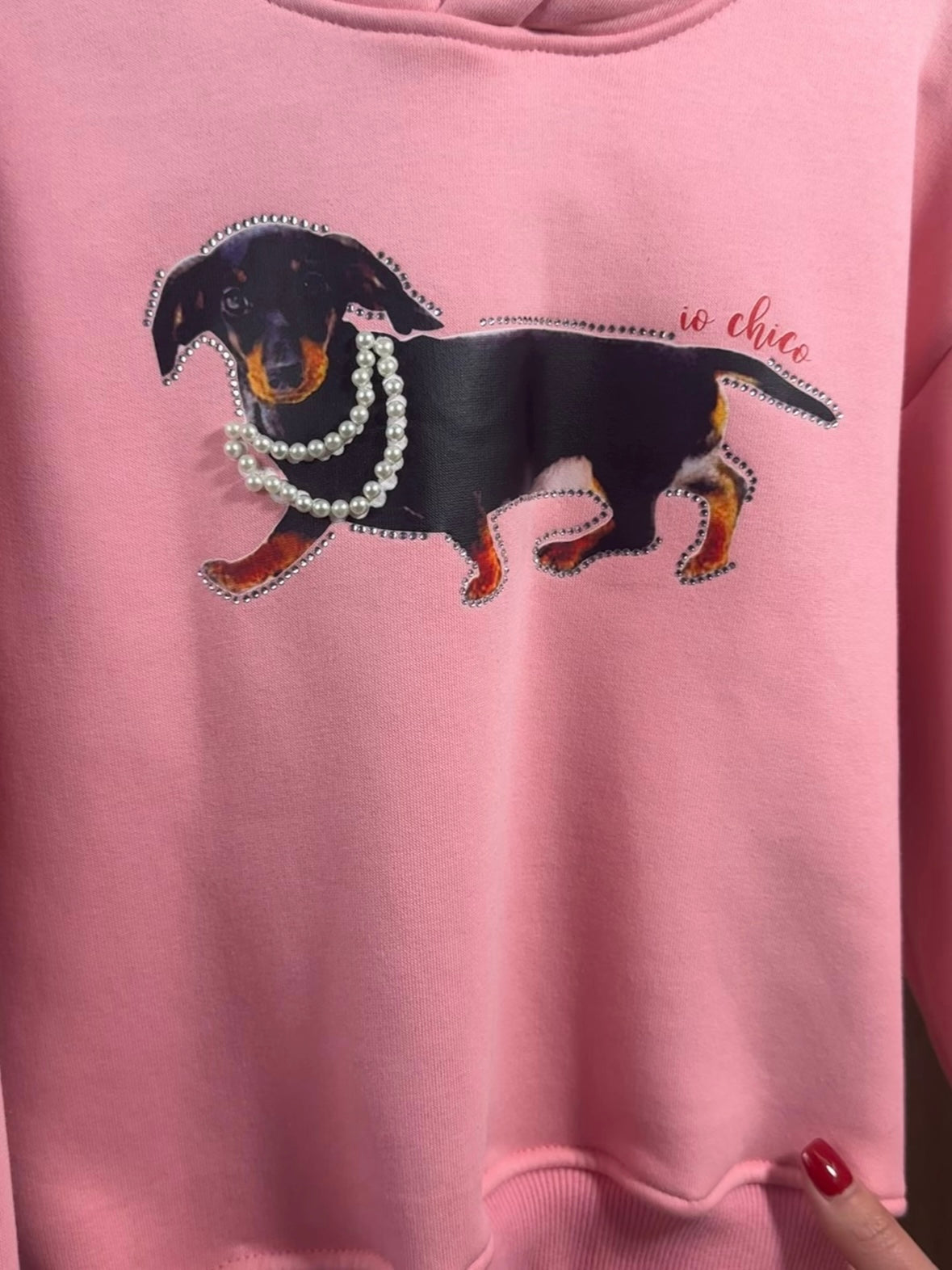 Felpa Fashion Dog