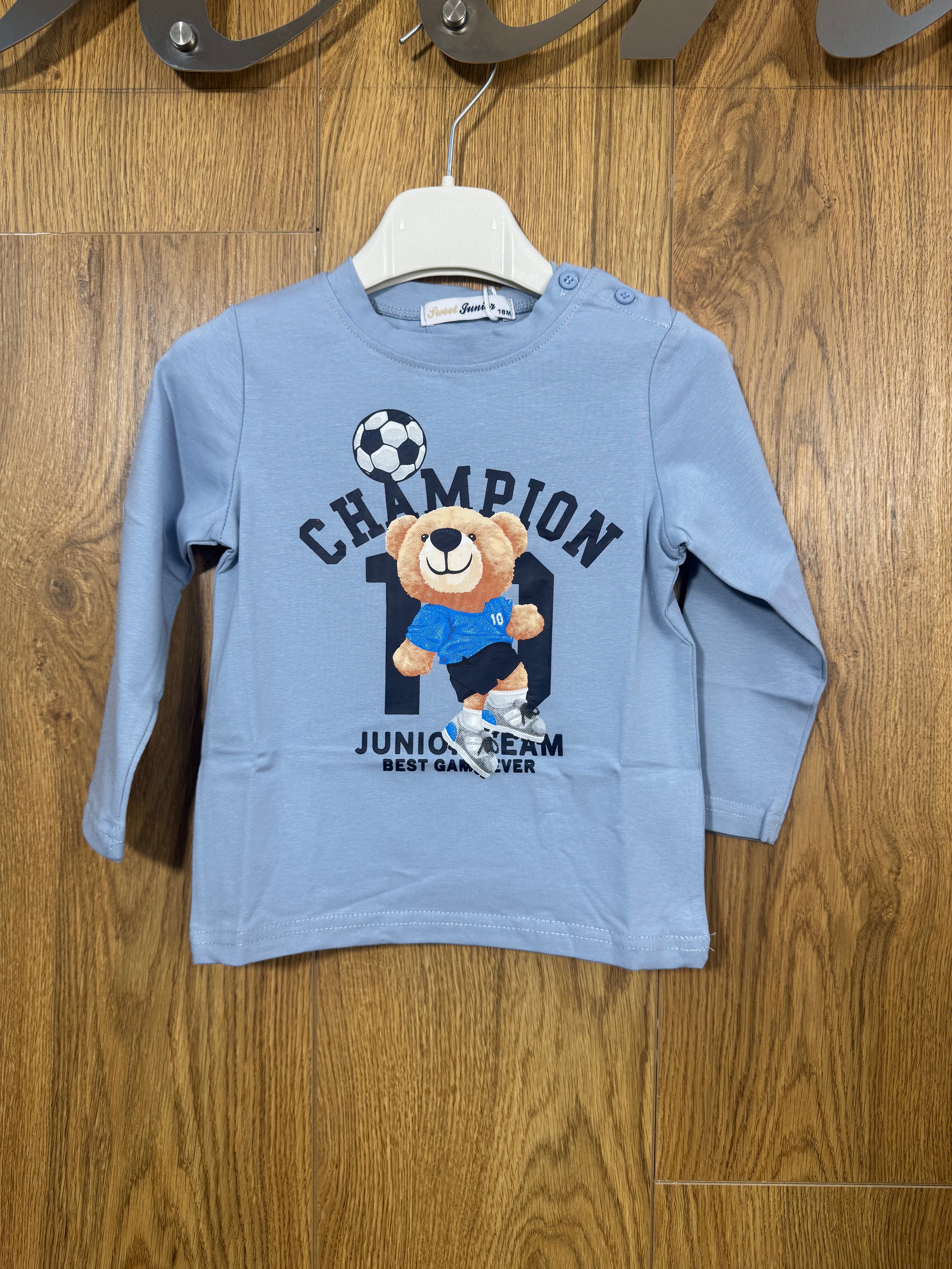 Shirt Champion Teddy