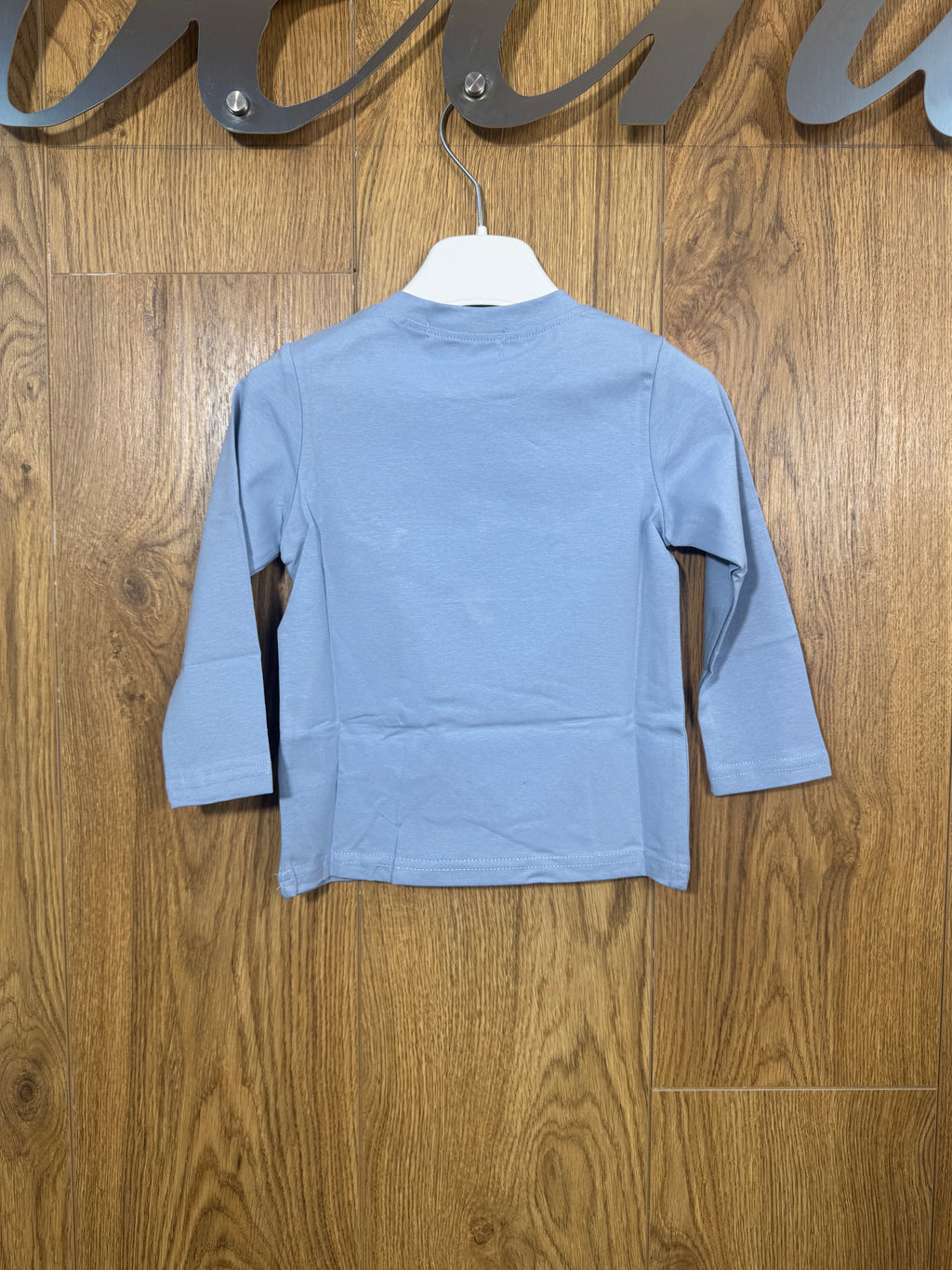 Shirt Champion Teddy